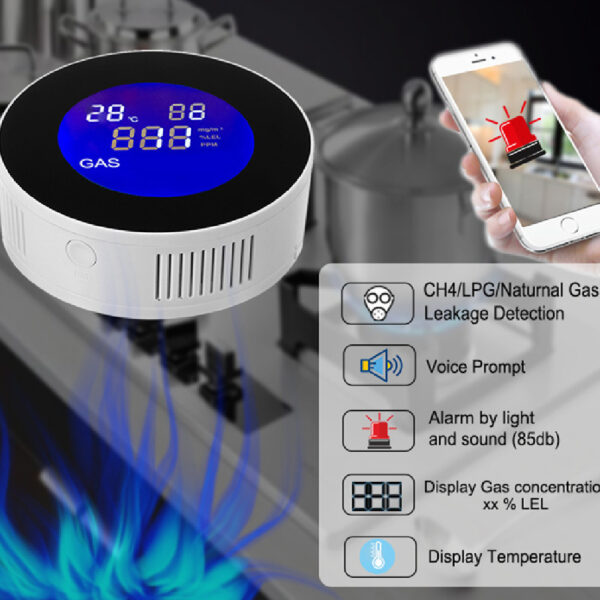 Graffiti Smart Wifi Gas Alarm - Image 5